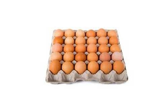 Picture of FRESH EGGS X30 MEDIUM KARTUNA